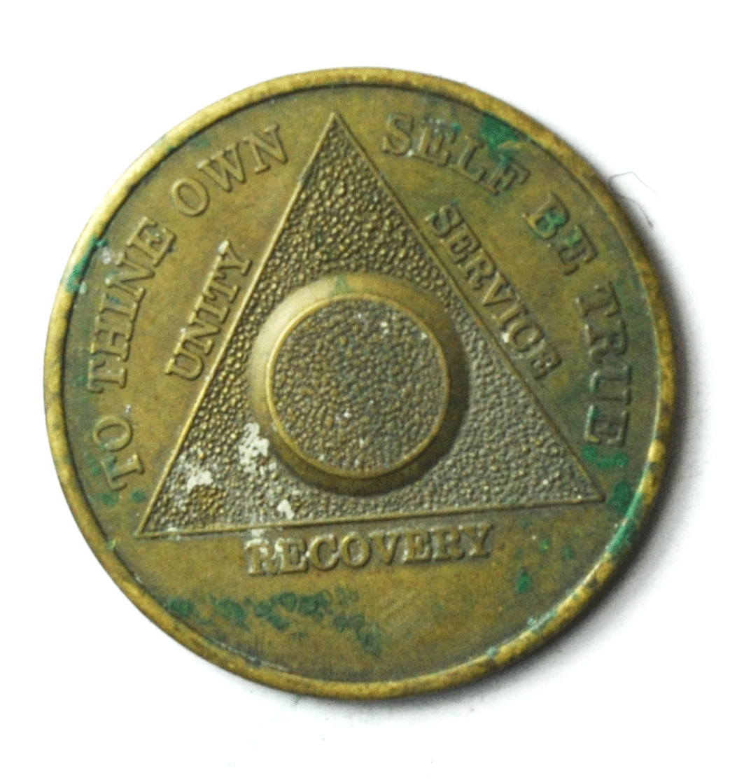 One 1 Year Recovery Chip Own Self Be True Serenity Prayer Medal AA 35mm