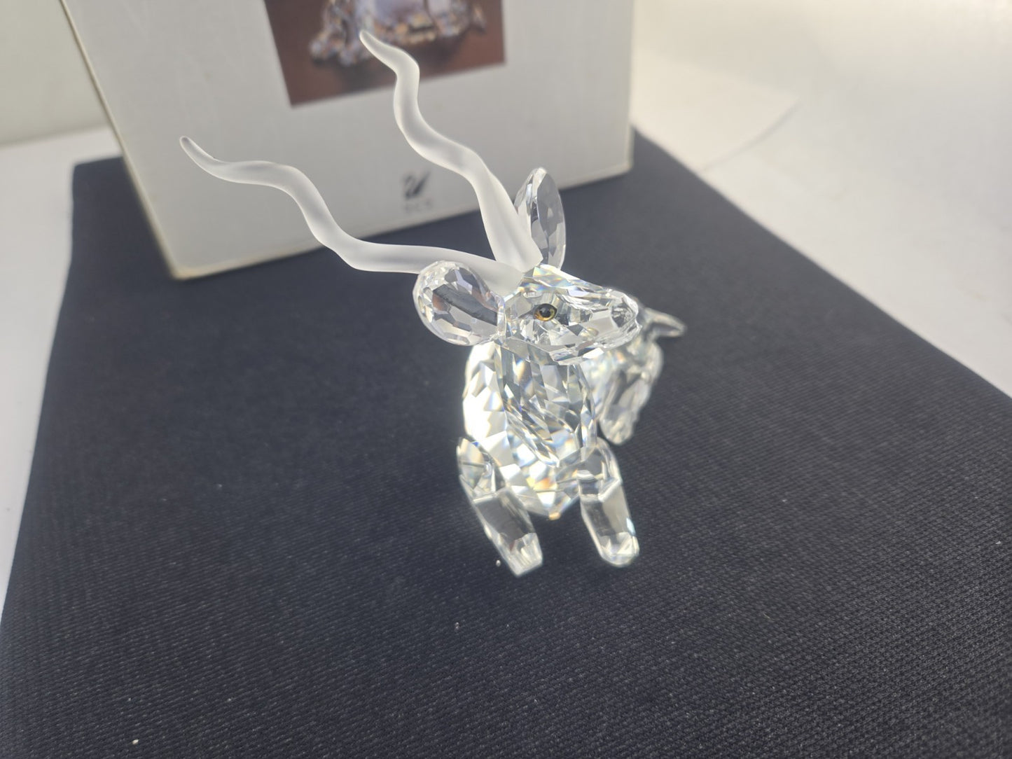 47007380