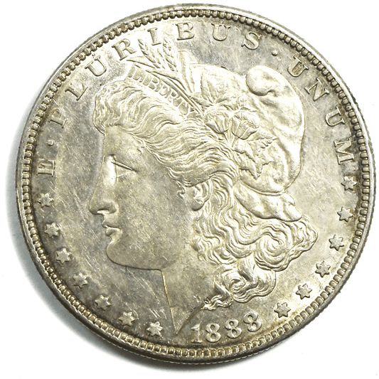 1888 S $1 Morgan American Silver One Dollar Pitted Reverse VAM 6C San Francisco