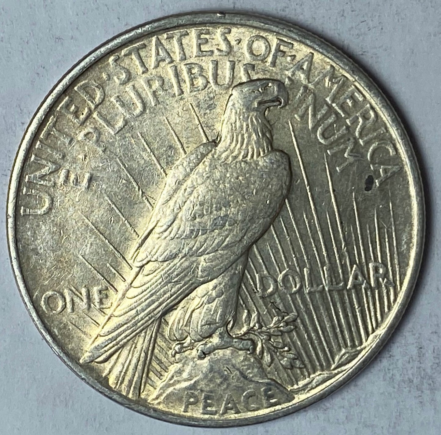 45855702