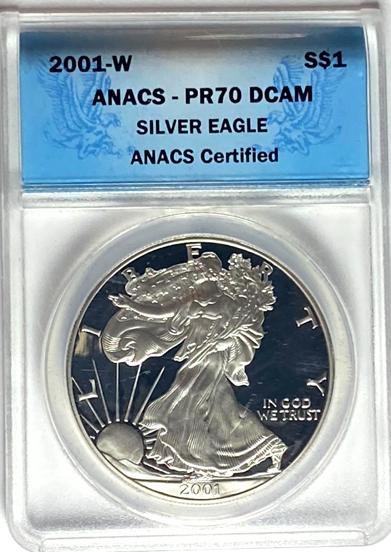 47909313