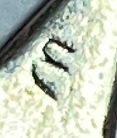 46425055