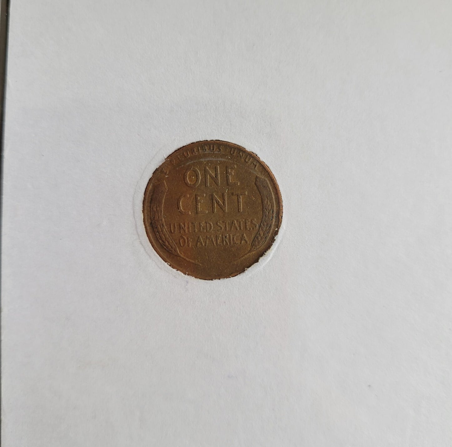 46425602