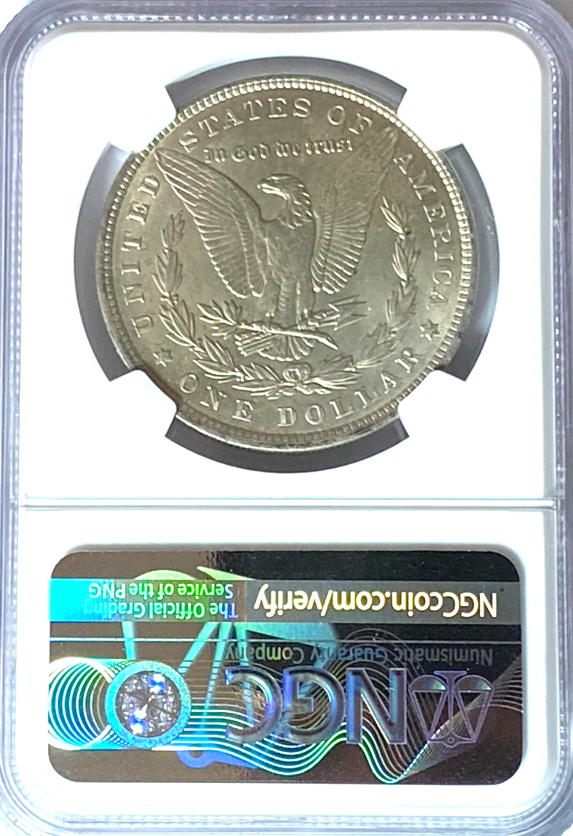 47025009