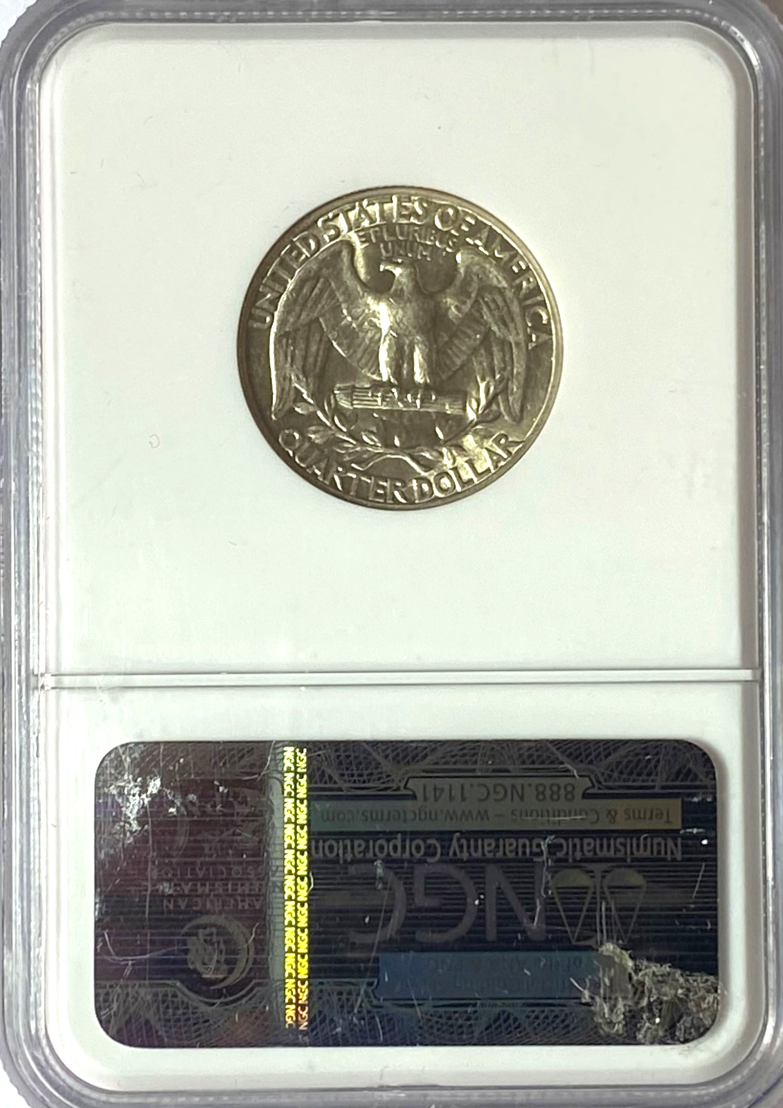 46600584