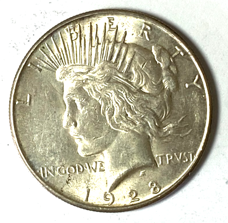 47491304