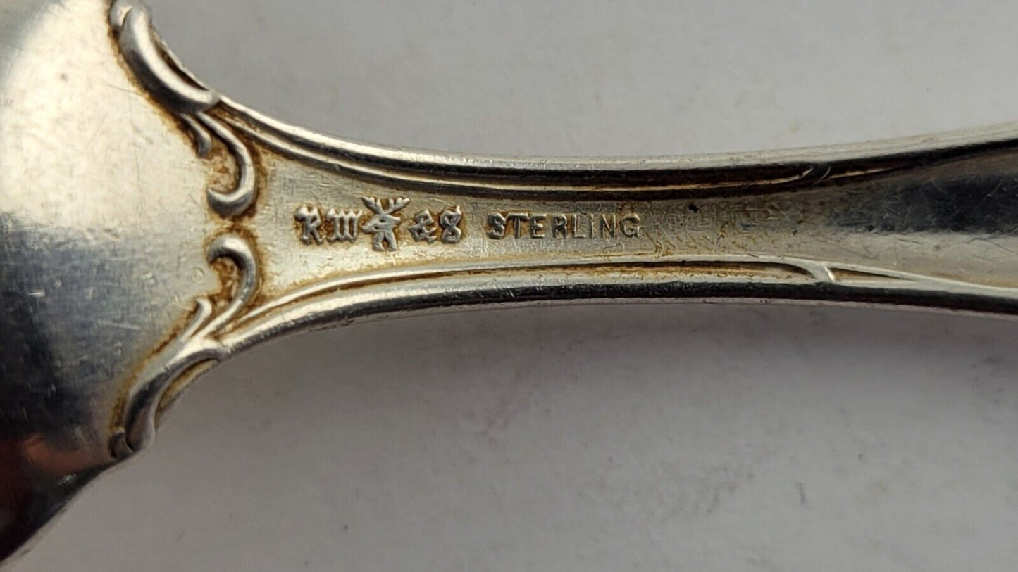 January Aquarius Snow Drop Sterling  Silver 5 7/8" Souvenir Spoon .84oz. Wallace