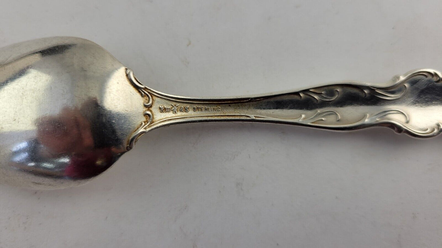 January Aquarius Snow Drop Sterling  Silver 5 7/8" Souvenir Spoon .84oz. Wallace