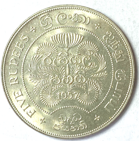 46547455