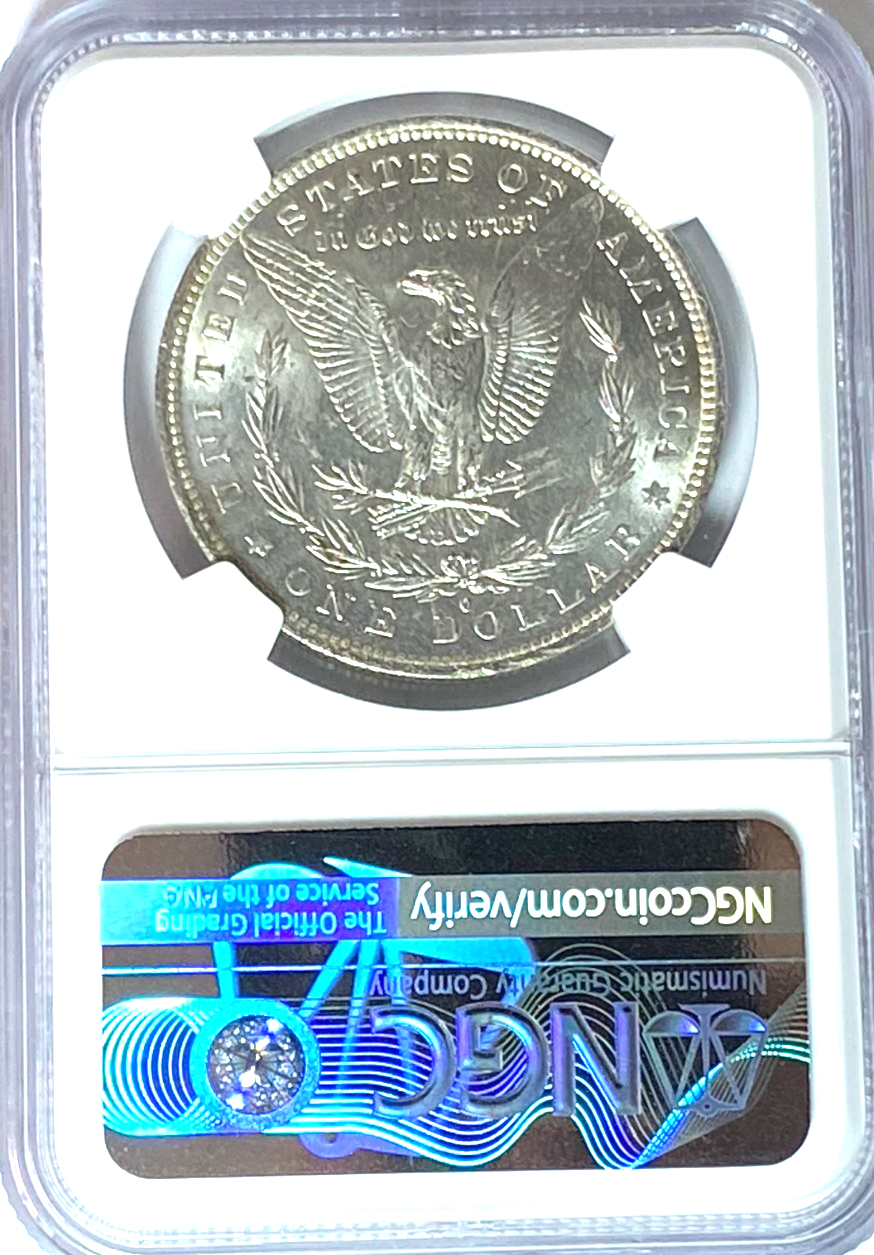 47030554