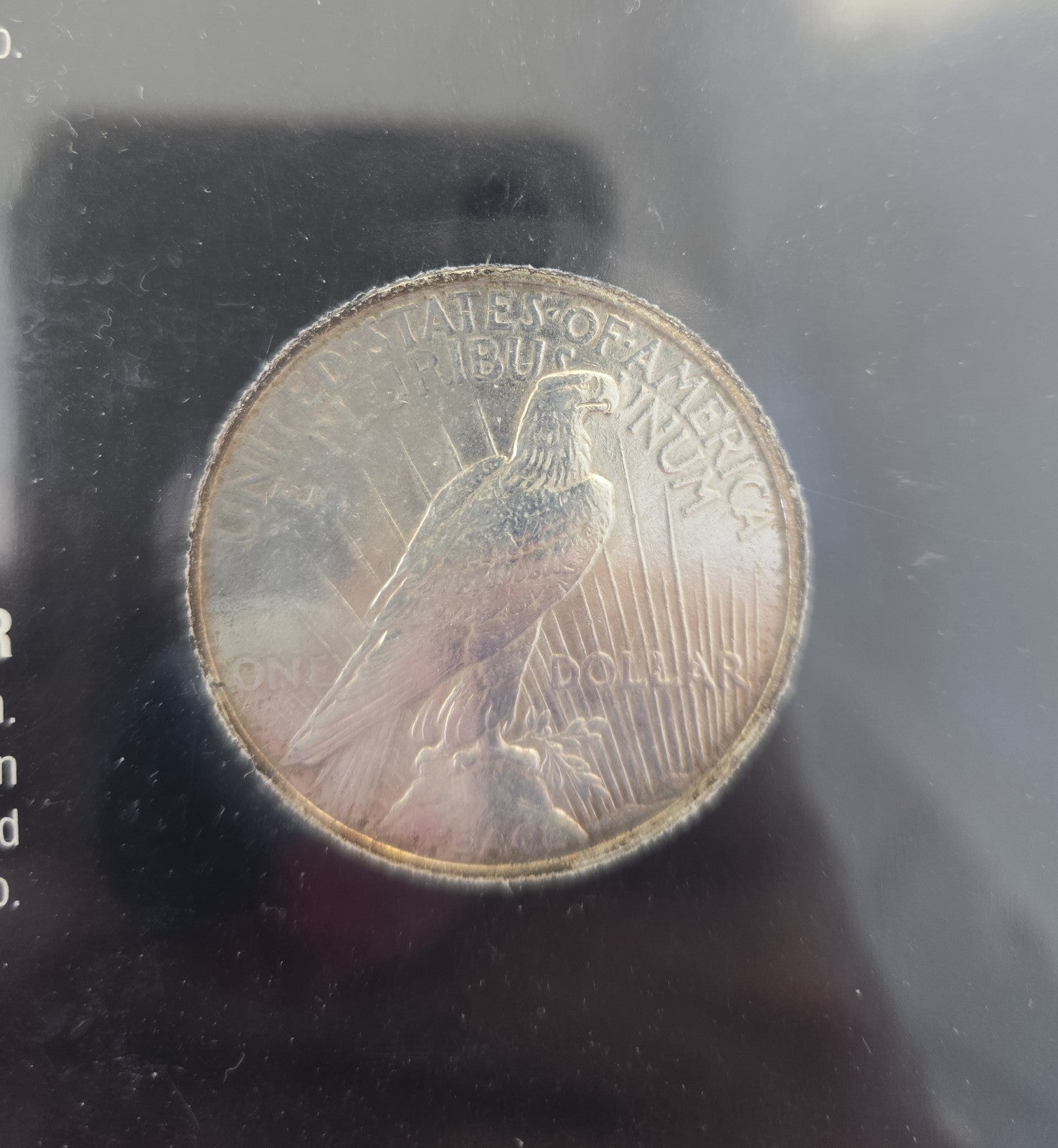 45186823