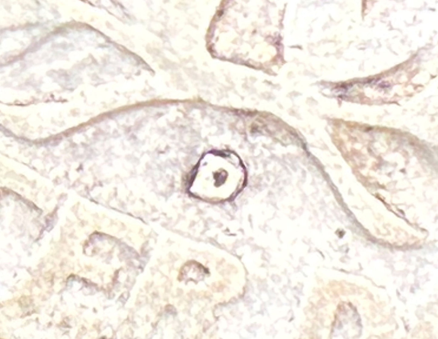 47412751