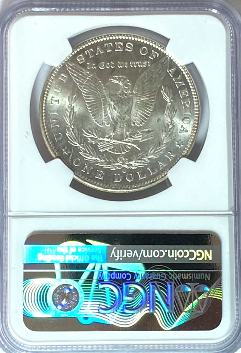 47025024