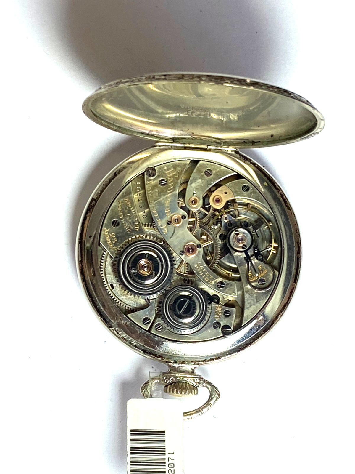 47350020