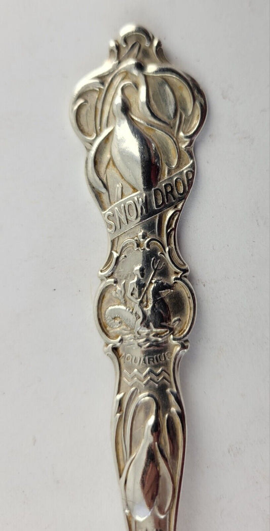 January Aquarius Snow Drop Sterling  Silver 5 7/8" Souvenir Spoon .84oz. Wallace