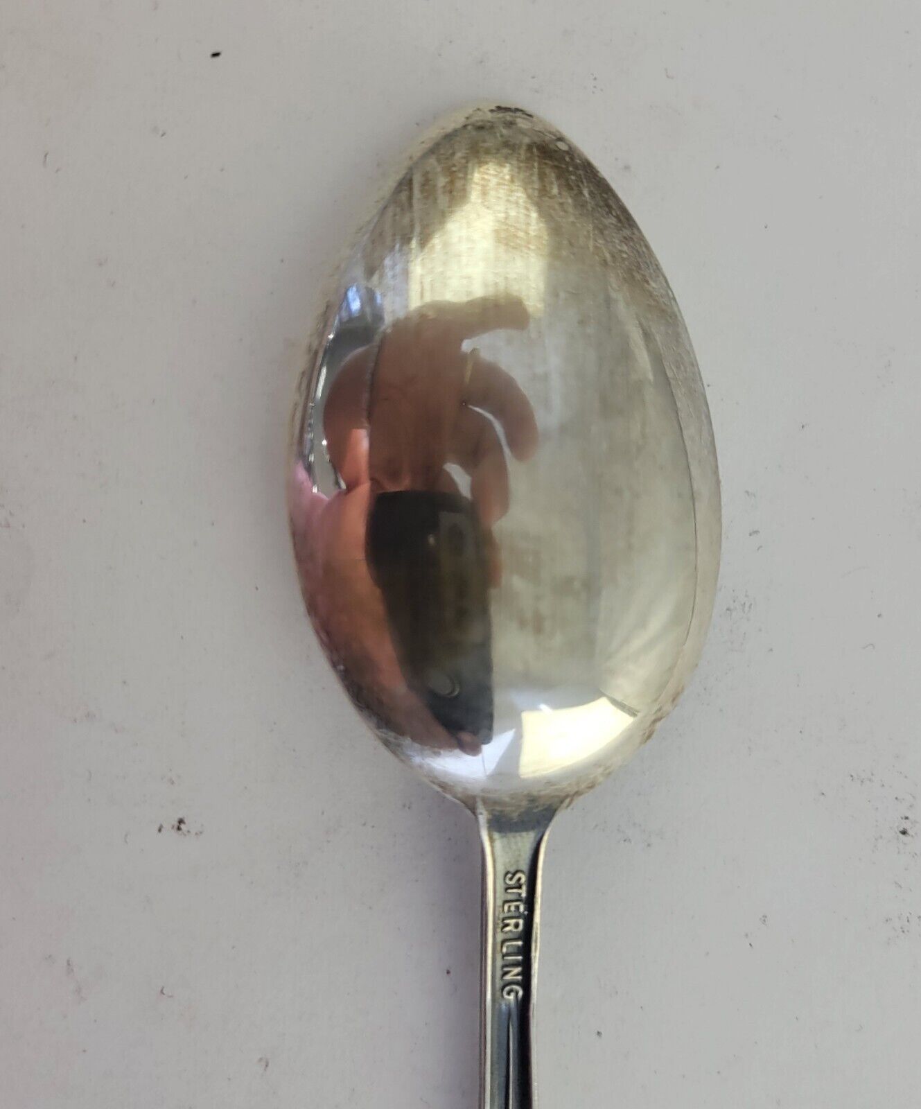 Colorado Sterling Silver 5 5/8" Souvenir Spoon .69oz. Columbine State Flower
