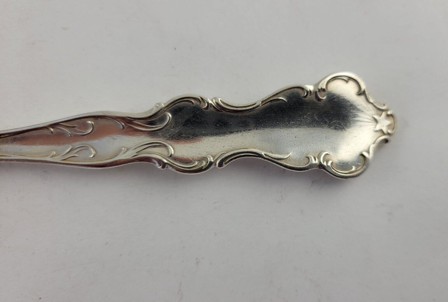 January Aquarius Snow Drop Sterling  Silver 5 7/8" Souvenir Spoon .84oz. Wallace