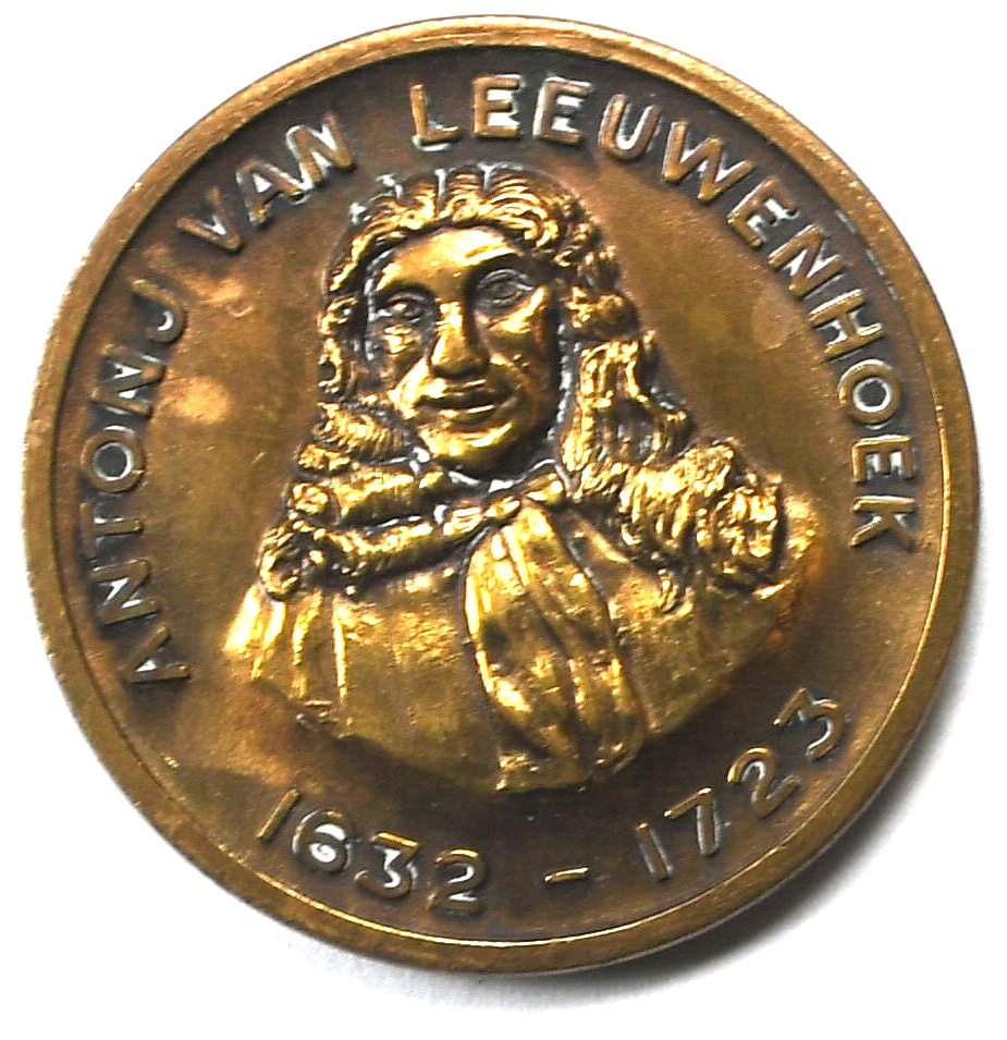 47847460