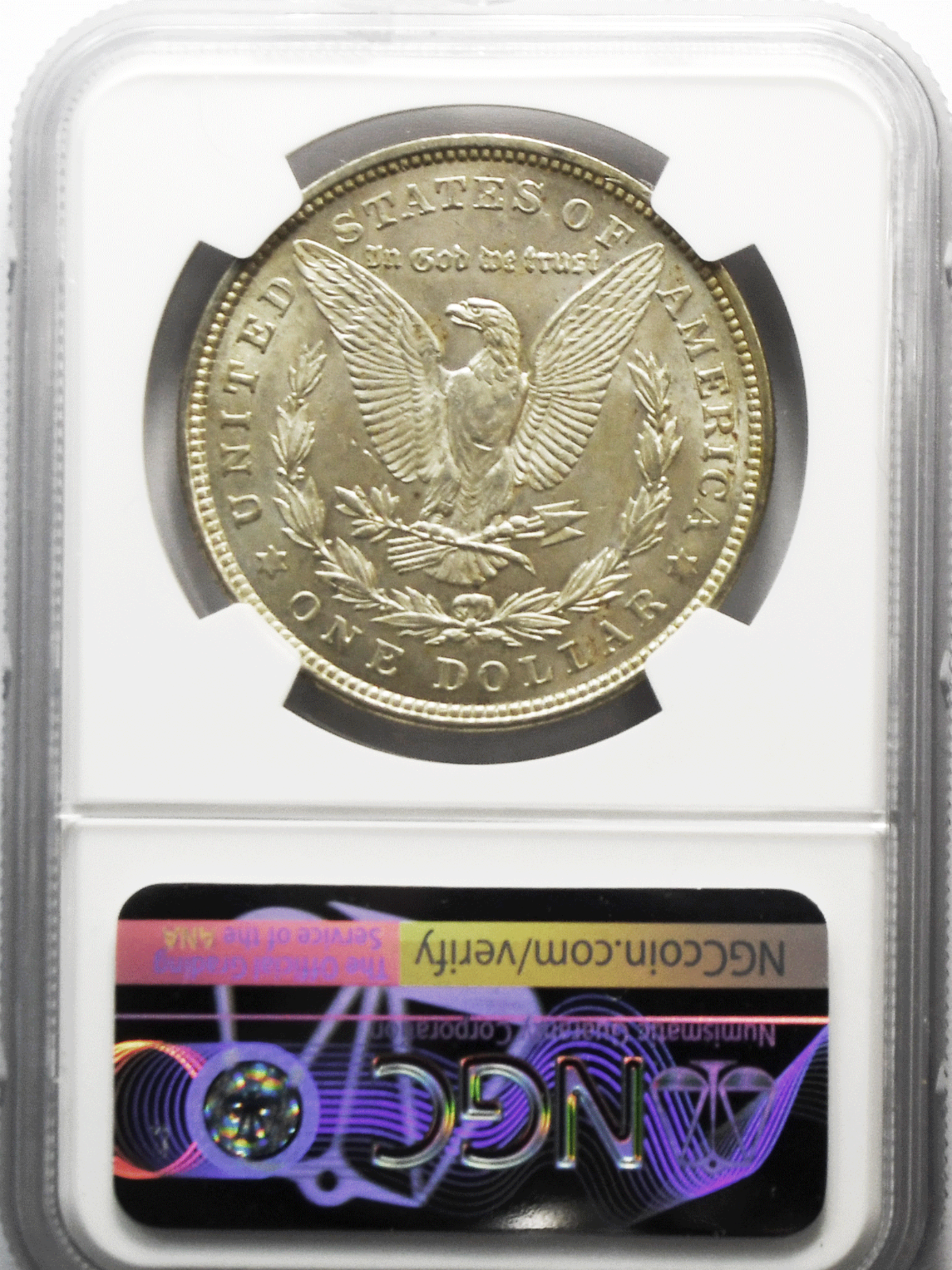 1921 $1 Morgan Silver Dollar MS61 NGC VAM 31A2 Denticle Impressions Kimpton 12