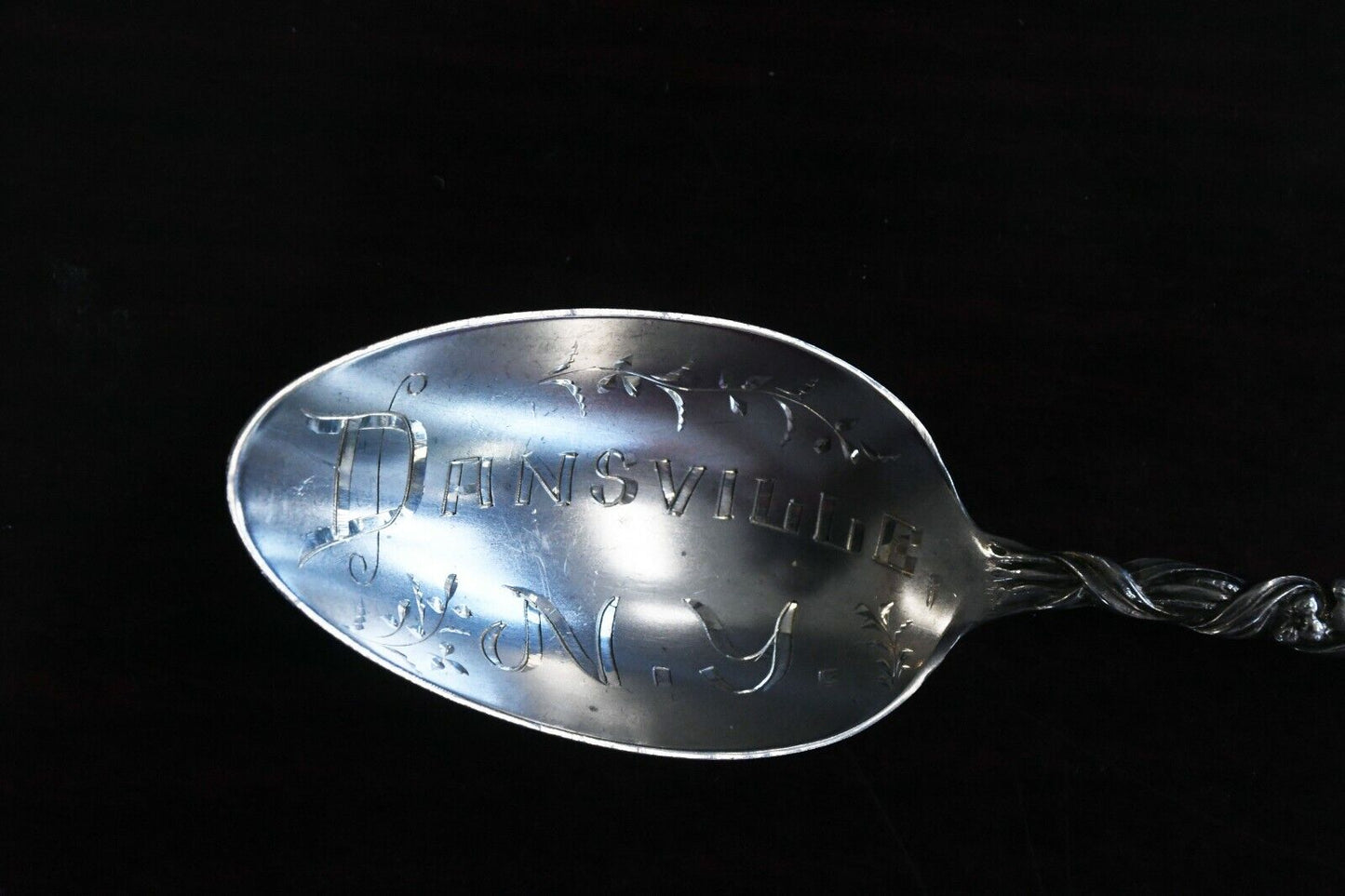 Dansville New York Sterling Silver Souvenir Spoon from Shepard Old Orchard