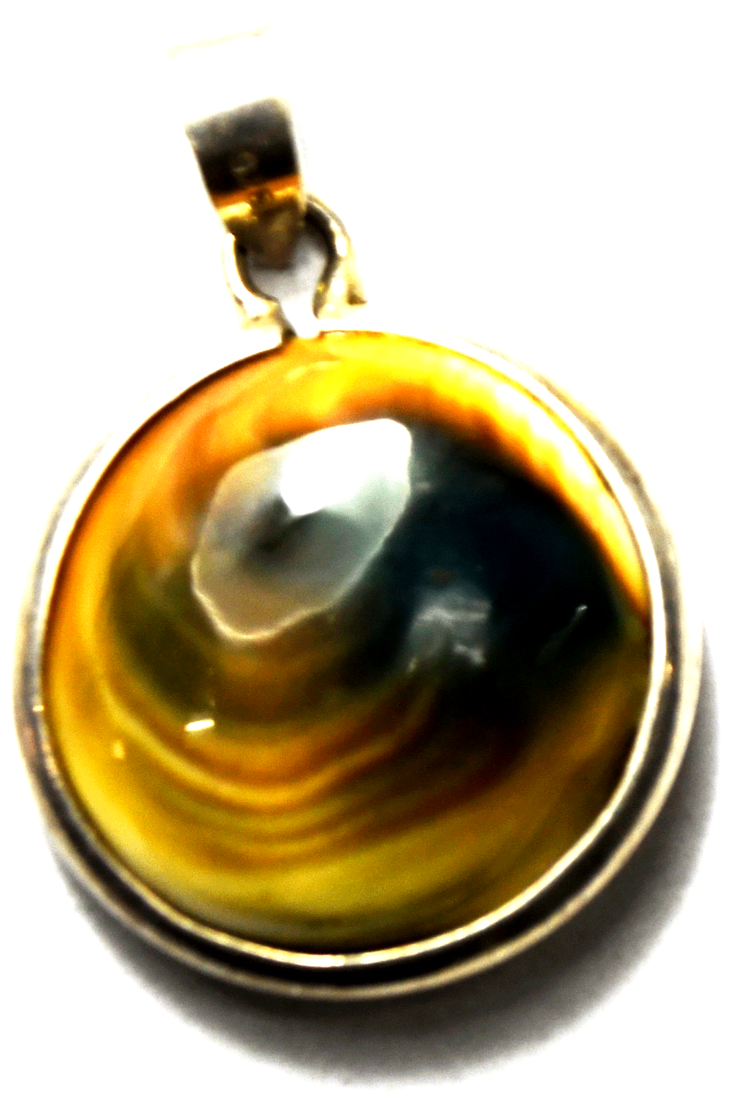 Sterling Silver Operculum Shell Spiral Green & Orange Round Pendant 36mm x 27mm
