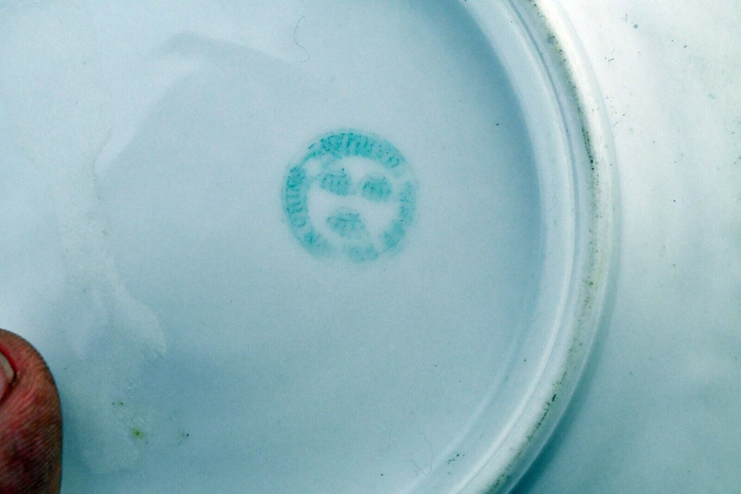 3pc.Floral Butter Plate Set with (1) BBC Racine Bavaria Plate 6"