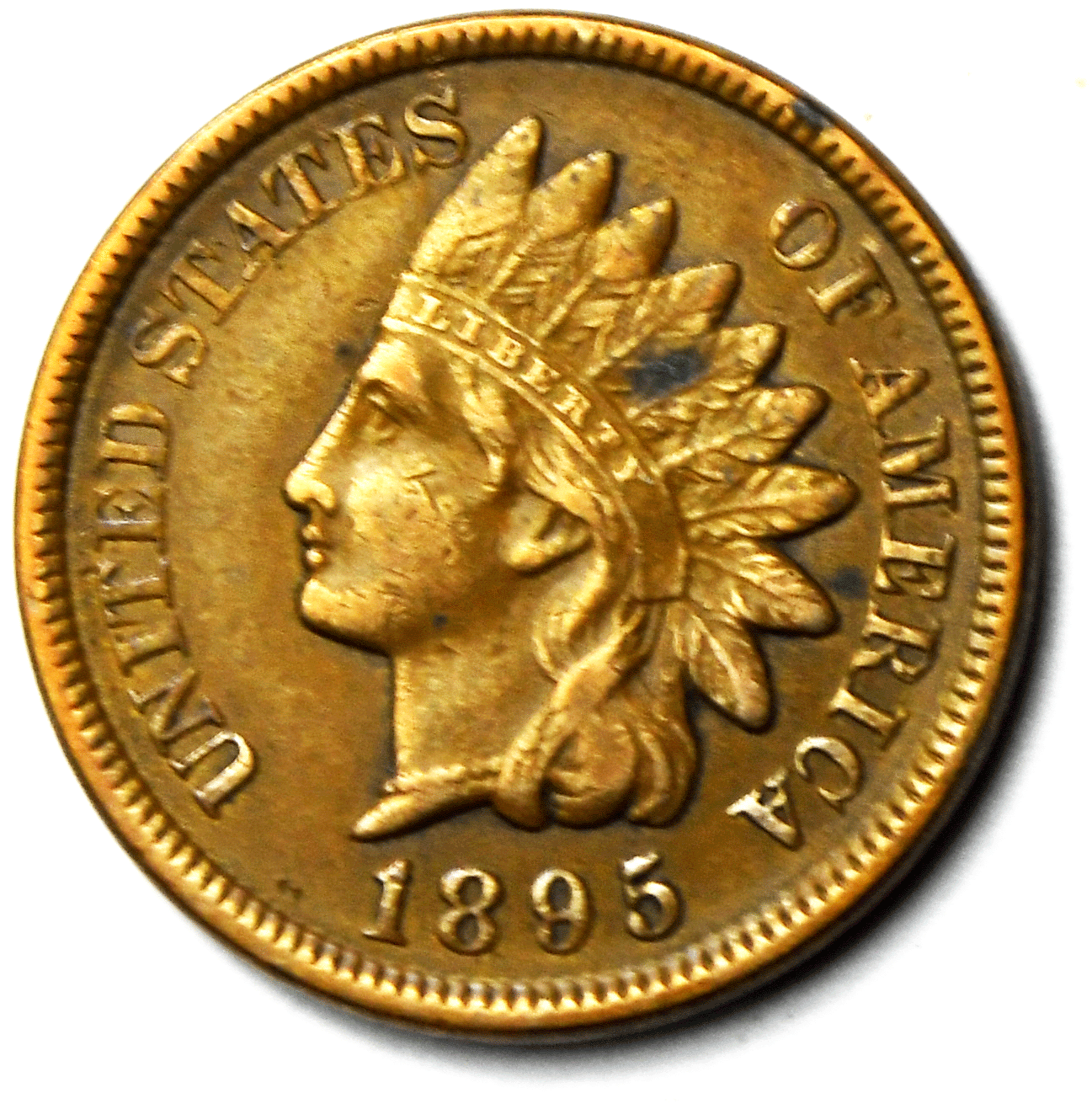 1895 1c Indian Head Penny One Cent US Philadelphia