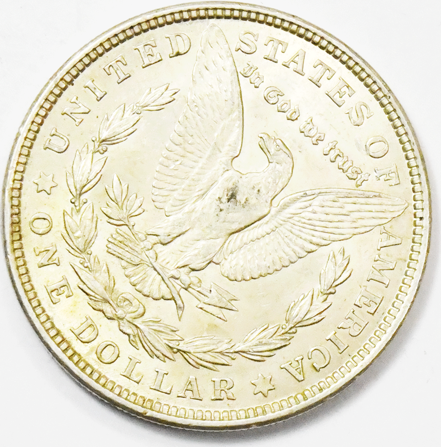 1921 $1 Morgan Silver One Dollar Philadelphia VAM 41B Pitted Reverse Top 100