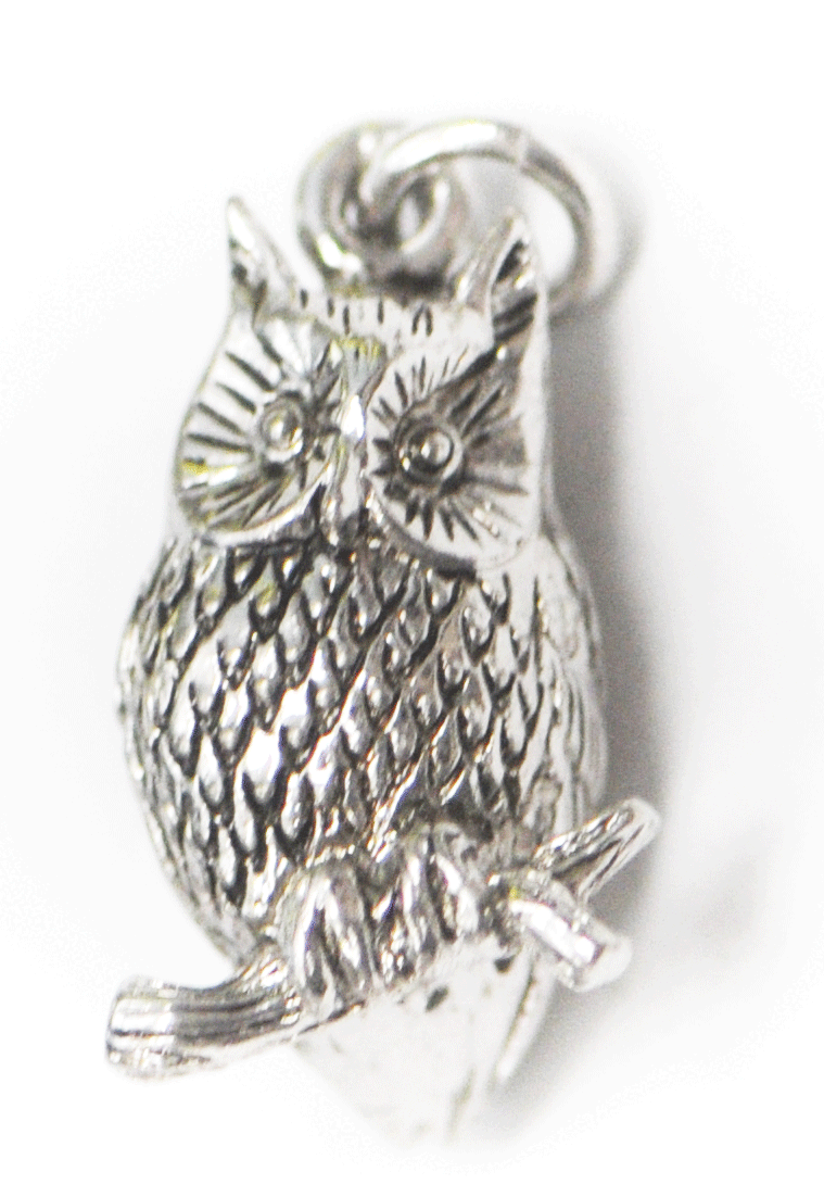 Sterling Silver Kinney Owl Charm 18mm
