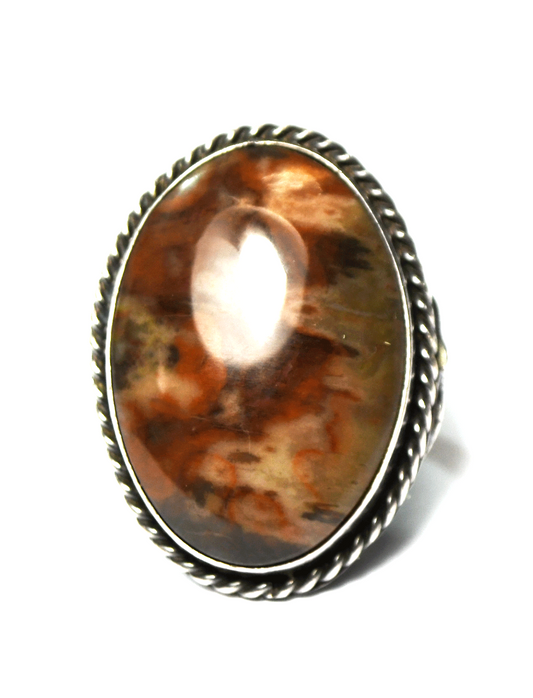 Sterling Silver DC Oval Petrified Wood Large 33mm Ring Size 6-1/4