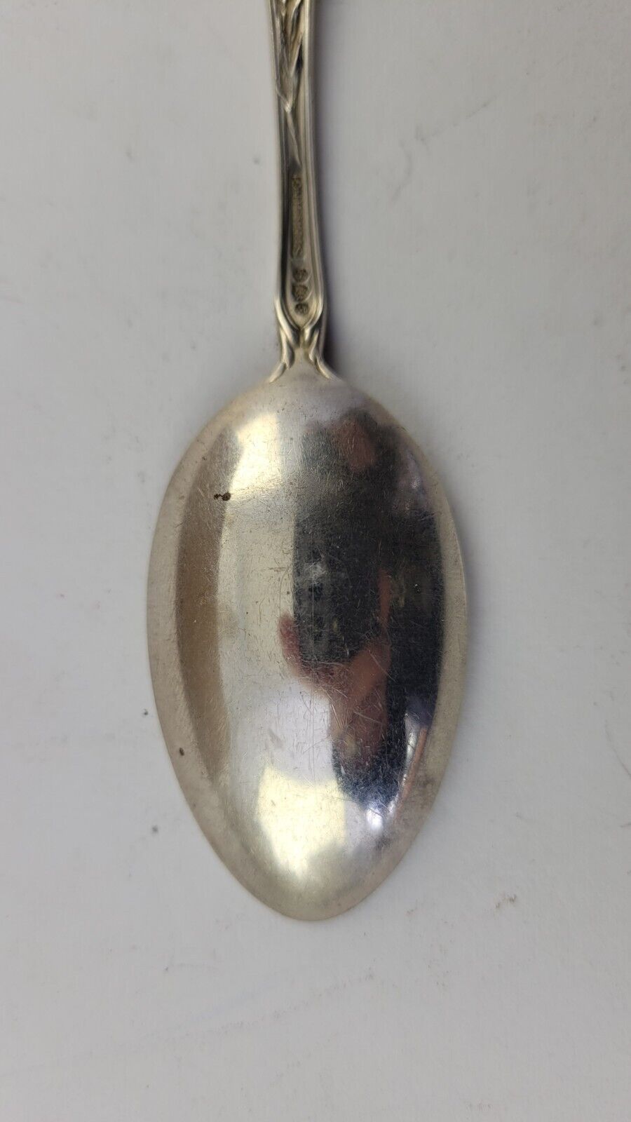 Sterling Texas Alamo State Capital San Jose Cattle .52oz Souvenir Spoon 5 1/2"
