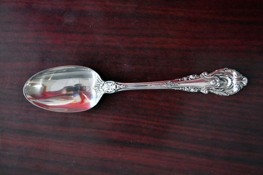 Sir Christopher by Wallace Sterling Silver 6" Solid Teaspoon 1 oz.