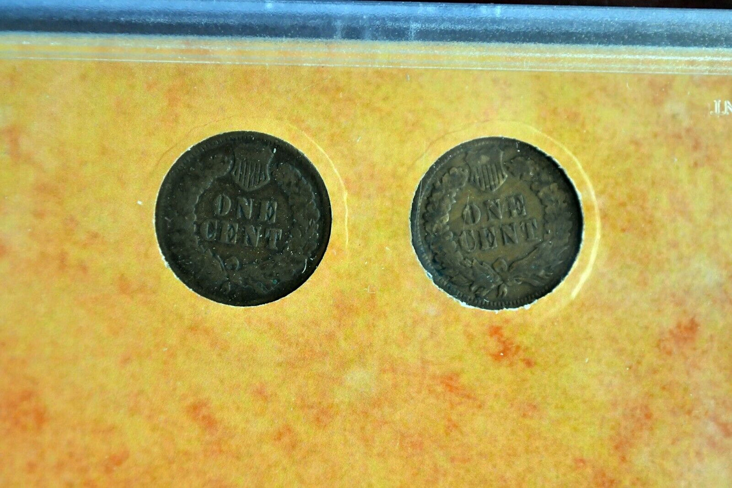 Two Centuries of Indian Head Pennies 1899-1908