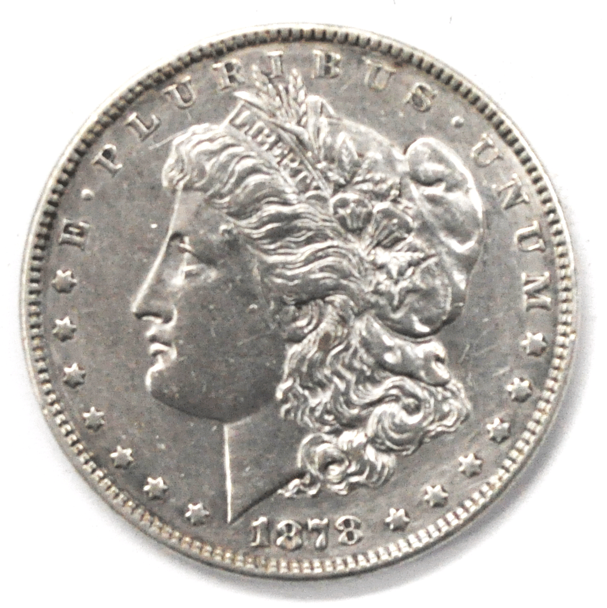 1878 7TF $1 Morgan Silver One Dollar 78 Rev VAM 113 Flake on Cheek