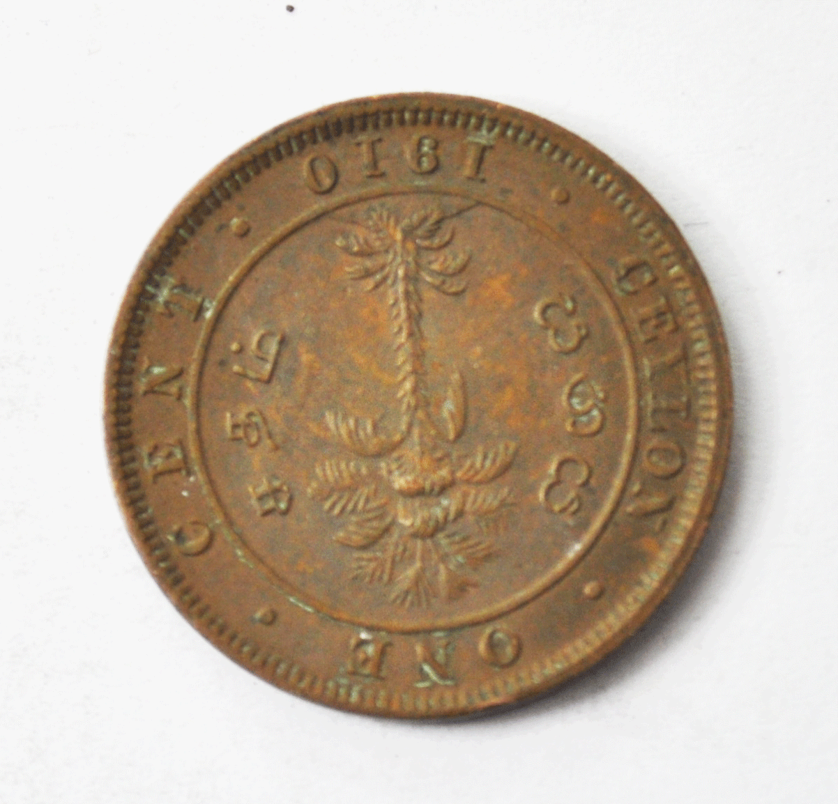 1910 Ceylon One Cent Copper Coin KM# 102