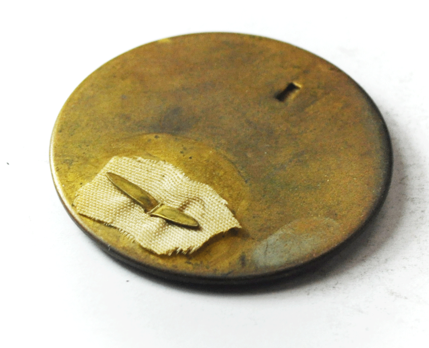 Modern Woodmen of America Celluloid Button Pin Pur Autre Vie 43mm Vintage