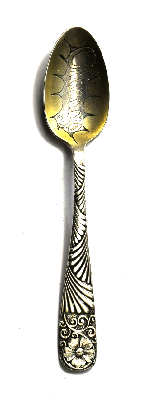 Sterling Silver Wallace Chicago Souvenir Spoon Strip Flower Handle 4-3/8"