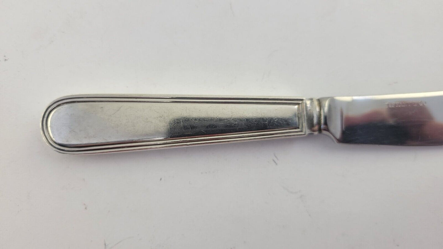 Hamilton aka Gramercy By Tiffany and Co. Sterling Hollow Butter Spreader 6 1/8"