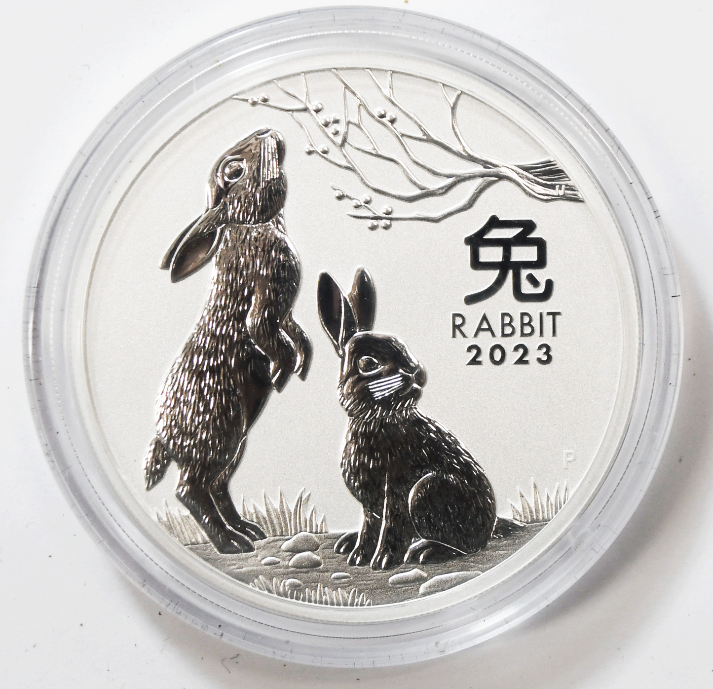 2023 $8 Australia Silver Rabbit 5oz .9999 Lunar Coin Gem Uncirculated