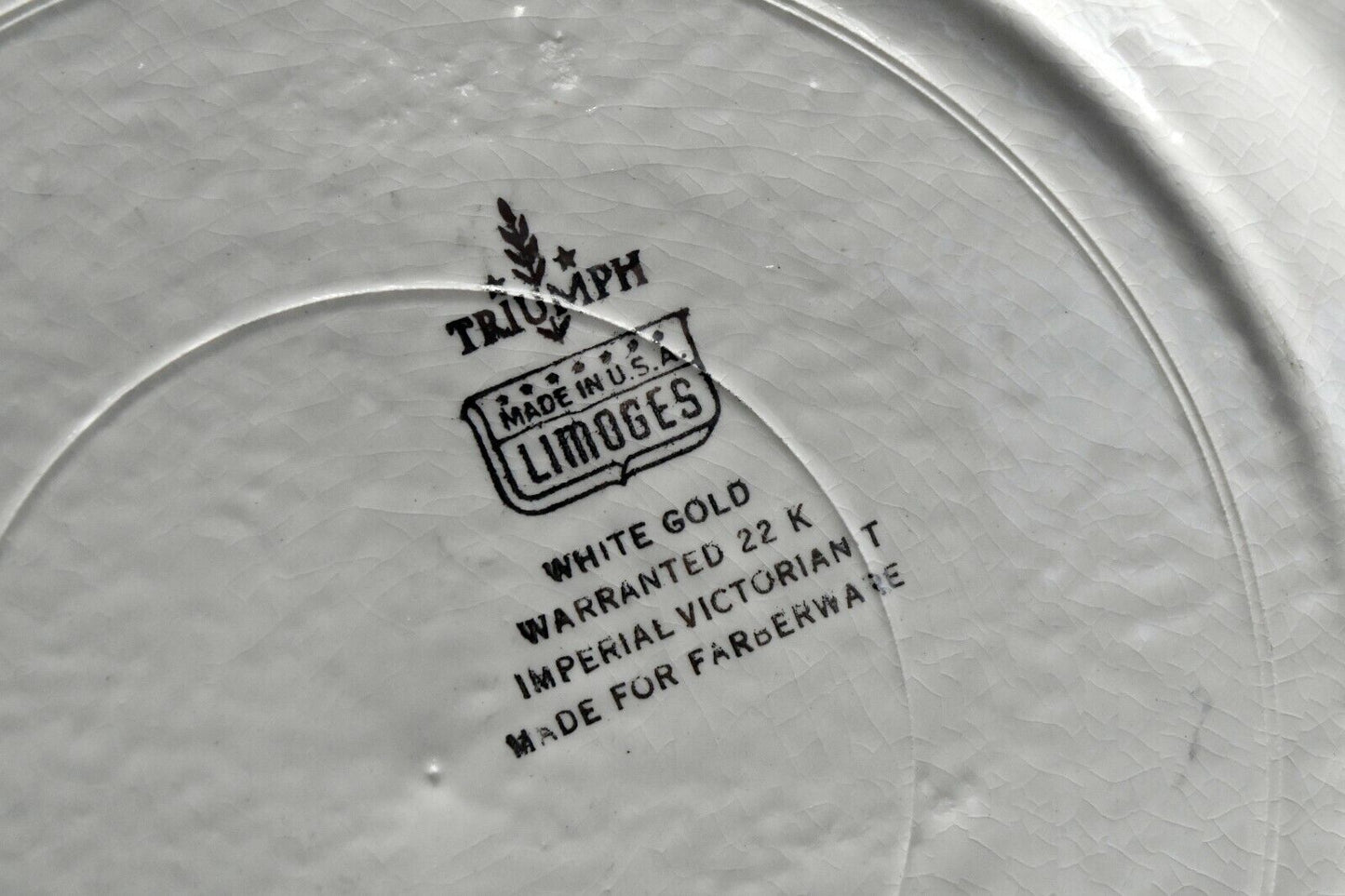 13 1/2" Triumph Limoges Aluminum Porcelain Bowl Farberware Brooklyn New York