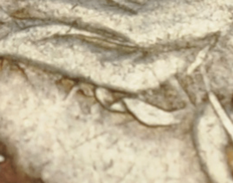 1857 H10c Seated Liberty Silver Half Dime Philadelphia Clashed Letters