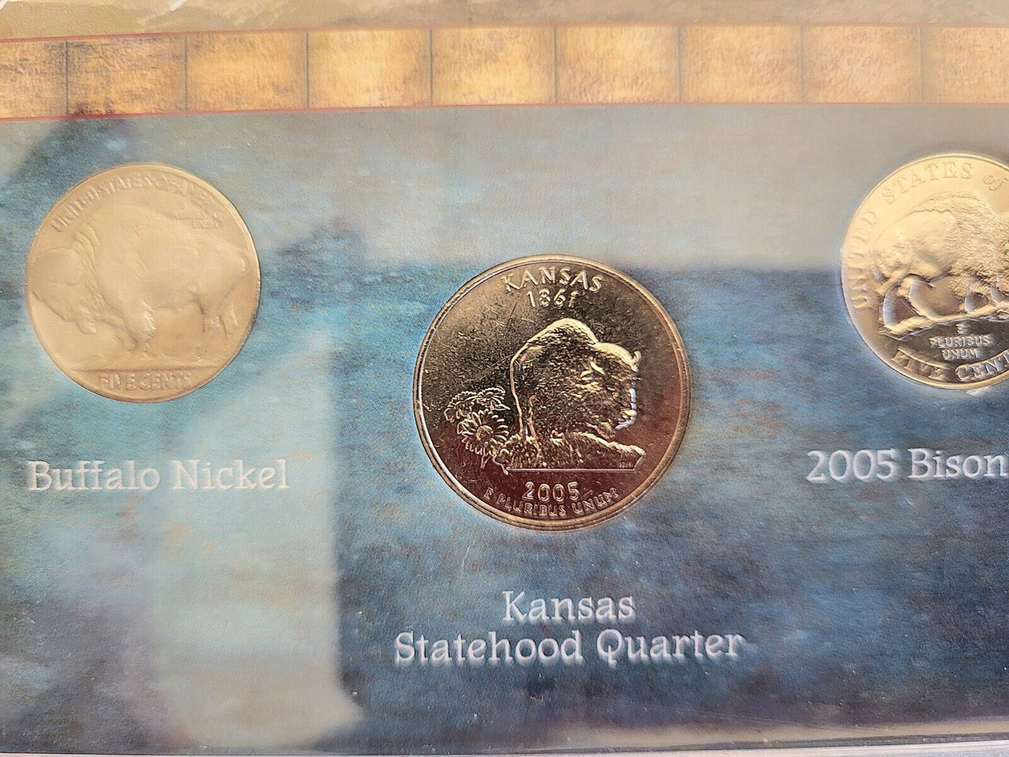 Buffalo Coin Collection Buffalo Nickel,Statehood Quarter, and Bison Nickel