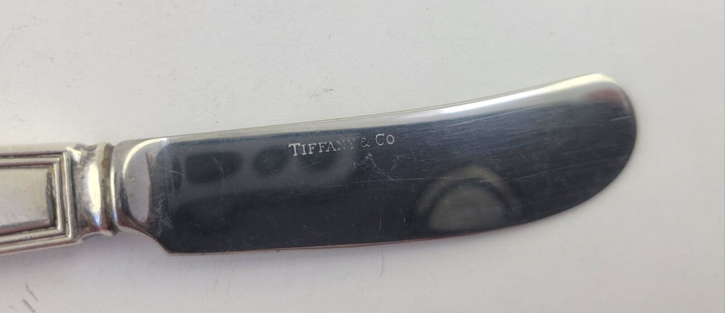 Hamilton aka Gramercy By Tiffany and Co. Sterling Hollow Butter Spreader 6 1/8"