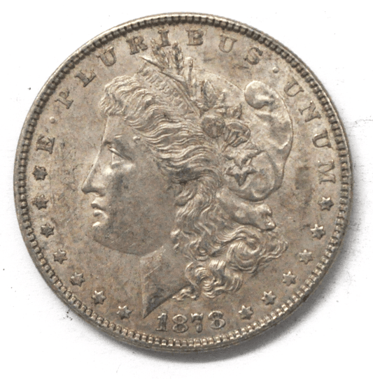 1878 $1 Morgan Silver One Dollar VAM 116C Late Die State Gouges