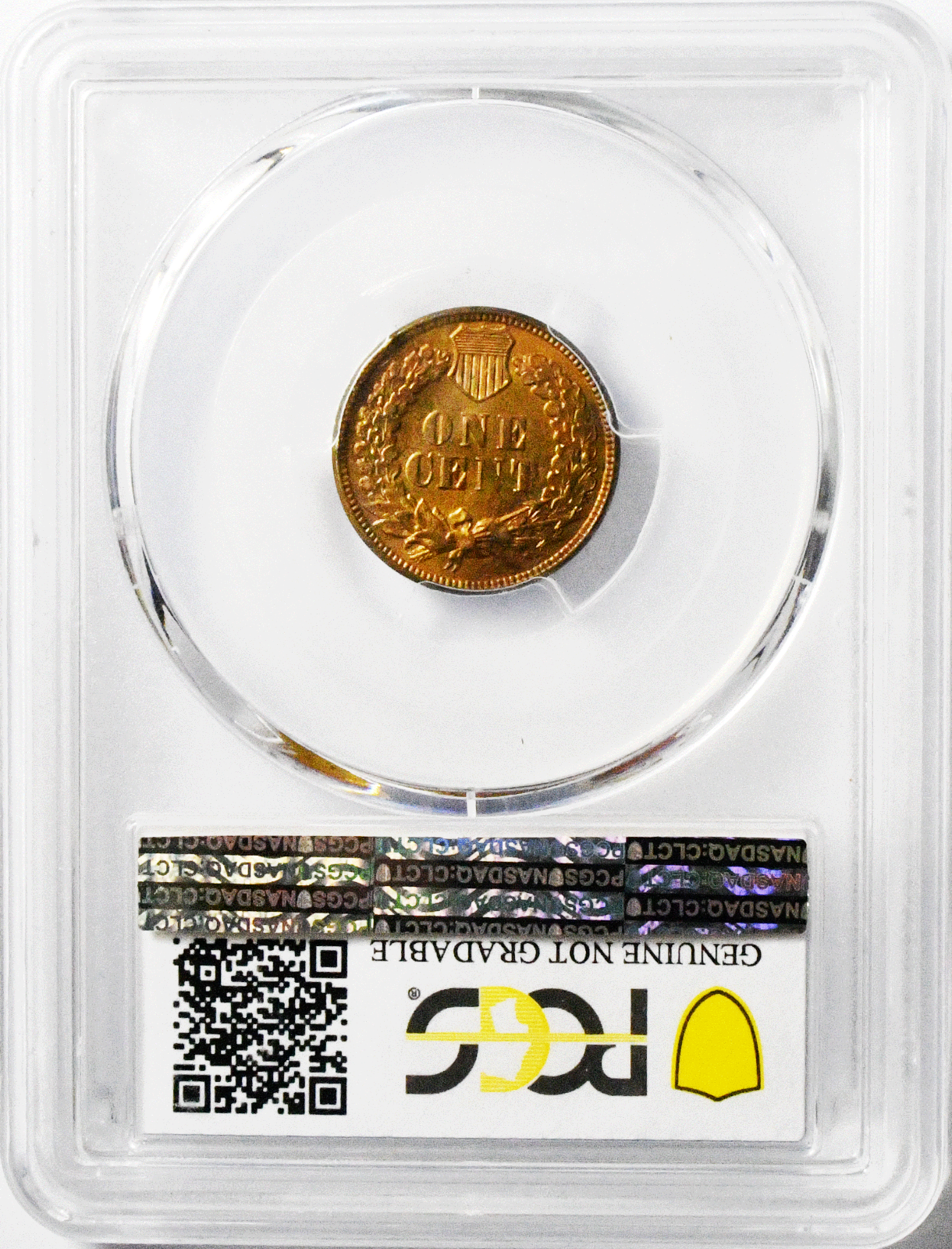 1879 1c Indian Head Penny One Cent US PCGS Unc Details